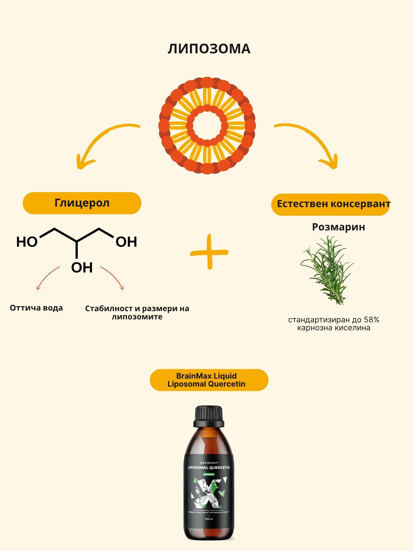 (Bulharština) Quercetin (1)